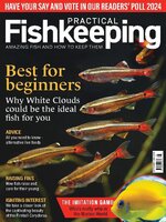 Practical Fishkeeping